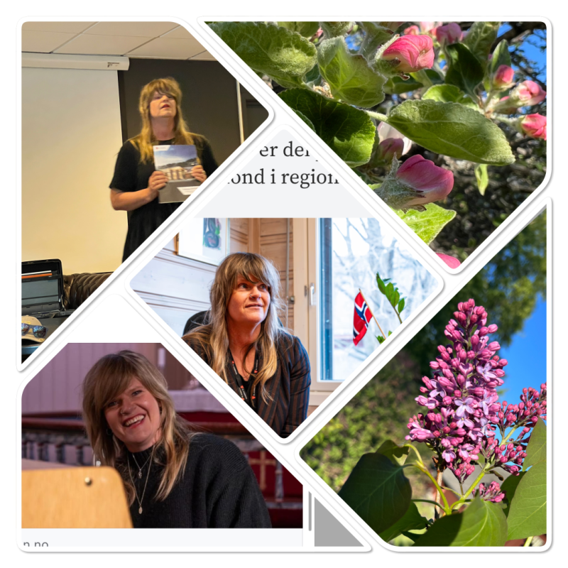 Den nye kultursjefen på Ål