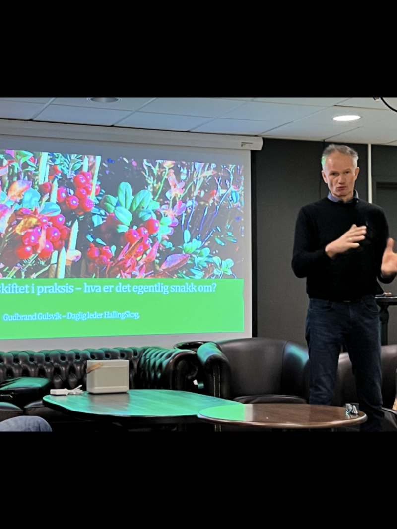 Skogen er svartet på spørsmålet! Hva er spørsmålet?